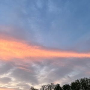 Meet your Posher, Kaia